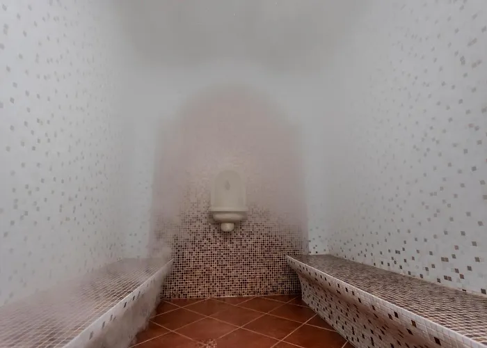 Alseides, The Experience