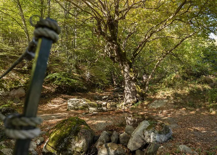 Alseides, The Experience 3*