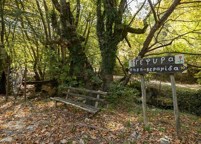 Alseides, The Experience Kateríni