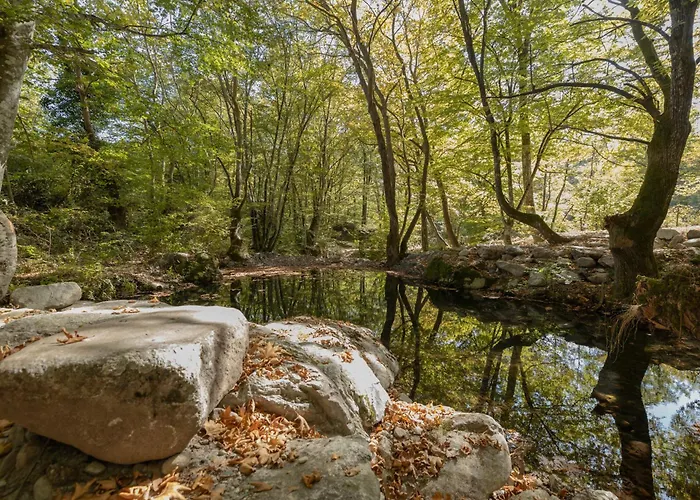 Alseides, The Experience