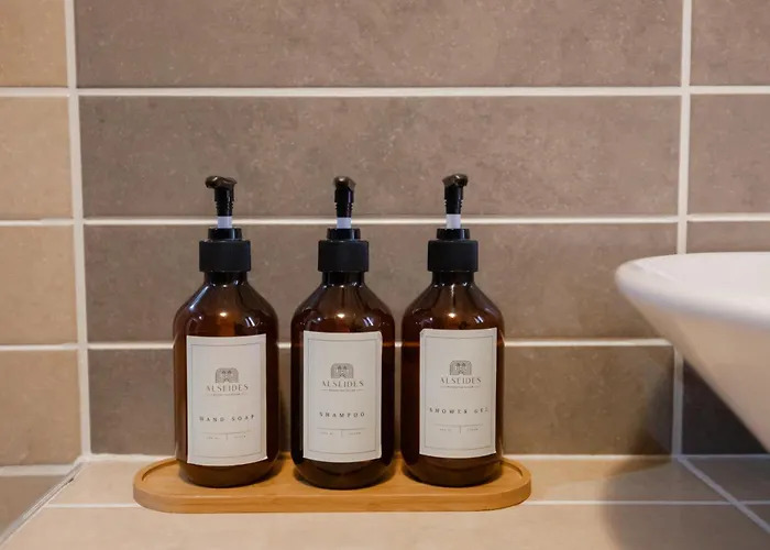 Hotel Alseides, The Experience 3*