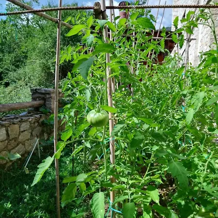 Alseides, The Experience Otel Kateríni