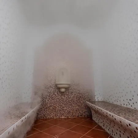 Alseides, The Experience