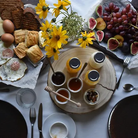 Alseides, The Experience Otel Kateríni