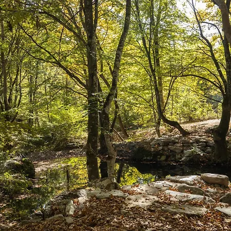 Otel Alseides, The Experience Kateríni