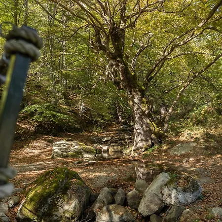 Alseides, The Experience 3*