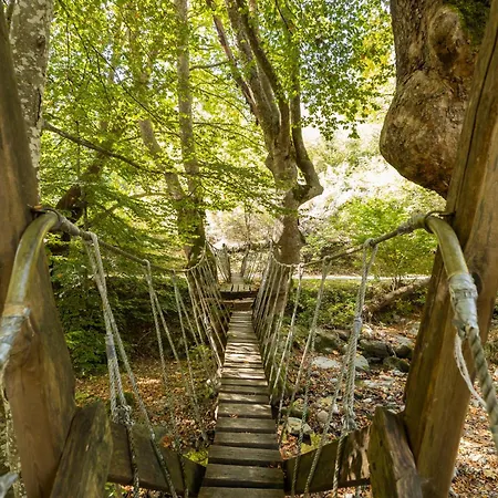 Alseides, The Experience Kateríni