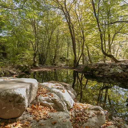 Alseides, The Experience