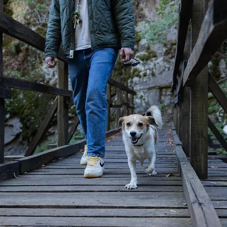 Alseides, The Experience Kateríni