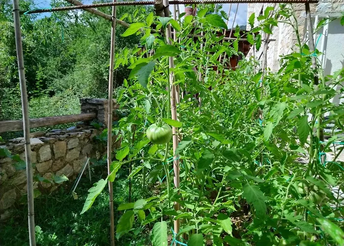 Alseides, The Experience Hotel Kateríni