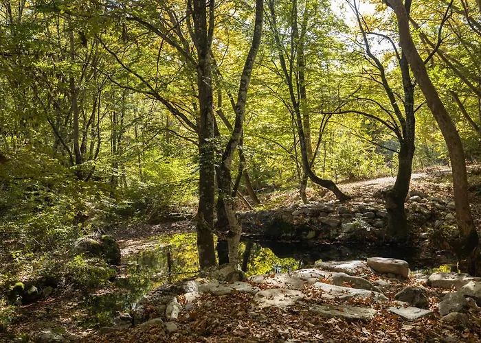 Hotel Alseides, The Experience Kateríni