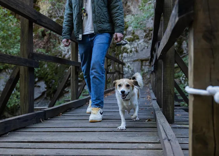 Alseides, The Experience Kateríni