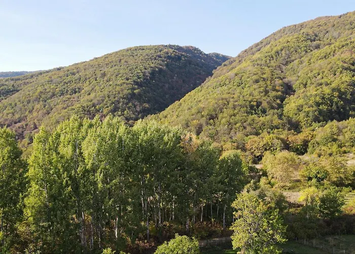 Alseides, The Experience Kateríni